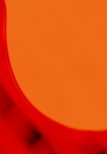 出海策略、品牌出海、海外营销策略、出海品牌营销案例、跨境电商、海外社交媒体营销方案、出海本地化运营建议、海外全案、海外PR、海外KOL、海外红人、海外社媒